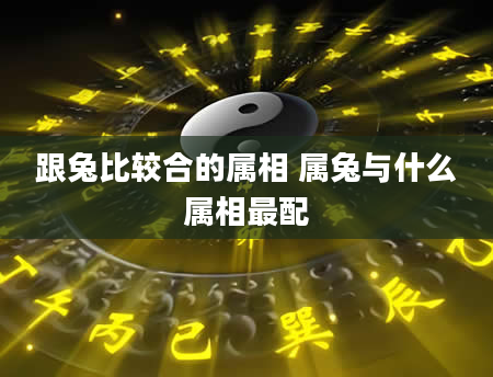 跟兔比较合的属相 属兔与什么属相最配