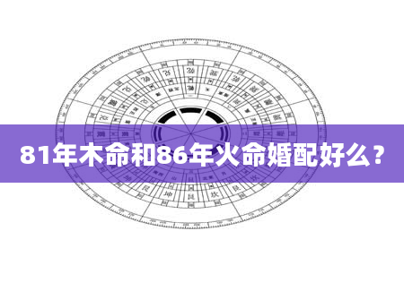 81年木命和86年火命婚配好么？