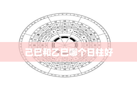 己巳和乙巳哪个日柱好