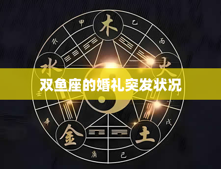 双鱼座的婚礼突发状况