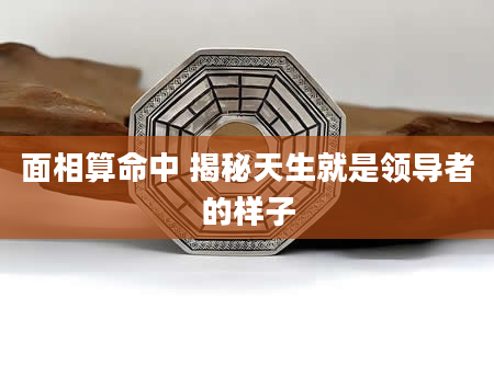 面相算命中 揭秘天生就是领导者的样子