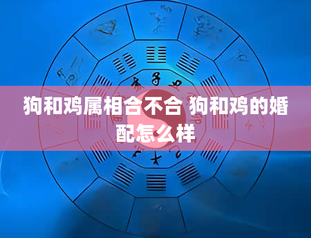 狗和鸡属相合不合 狗和鸡的婚配怎么样