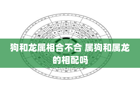 狗和龙属相合不合 属狗和属龙的相配吗