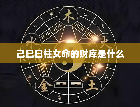 己巳日柱女命的财库是什么