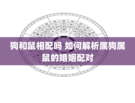 狗和鼠相配吗 如何解析属狗属鼠的婚姻配对