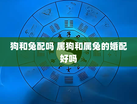 狗和兔配吗 属狗和属兔的婚配好吗