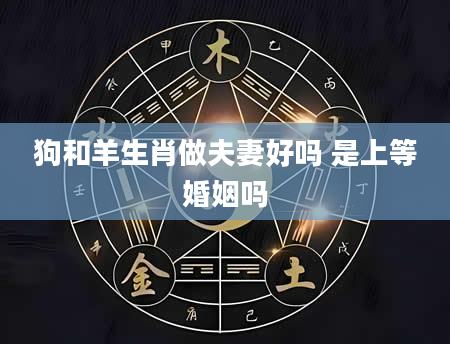 狗和羊生肖做夫妻好吗 是上等婚姻吗
