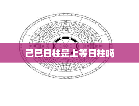 己巳日柱是上等日柱吗