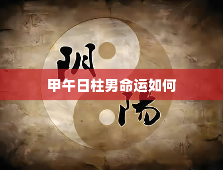 甲午日柱男命运如何