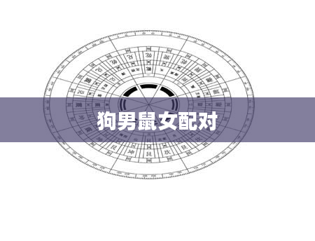 狗男鼠女配对