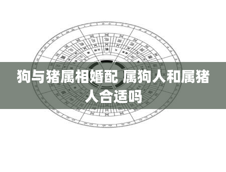 狗与猪属相婚配 属狗人和属猪人合适吗