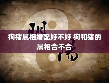 狗猪属相婚配好不好 狗和猪的属相合不合