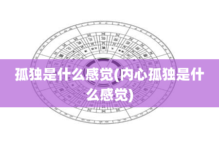 孤独是什么感觉(内心孤独是什么感觉)