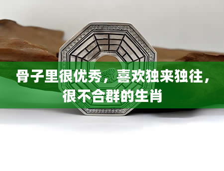 骨子里很优秀，喜欢独来独往，很不合群的生肖