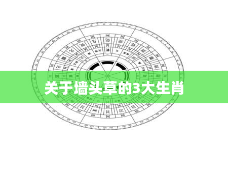 关于墙头草的3大生肖