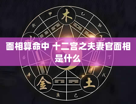 面相算命中 十二宫之夫妻官面相是什么
