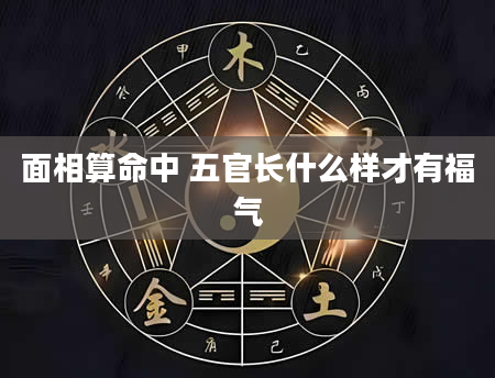 面相算命中 五官长什么样才有福气