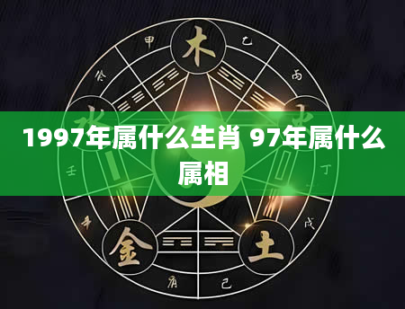 1997年属什么生肖 97年属什么属相