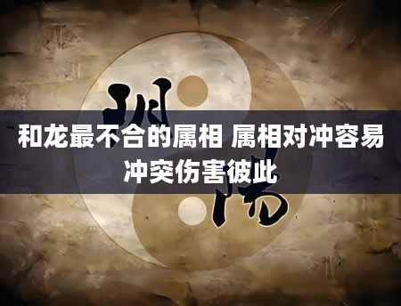 和龙最不合的属相 属相对冲容易冲突伤害彼此