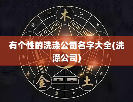 有个性的洗涤公司名字大全(洗涤公司)