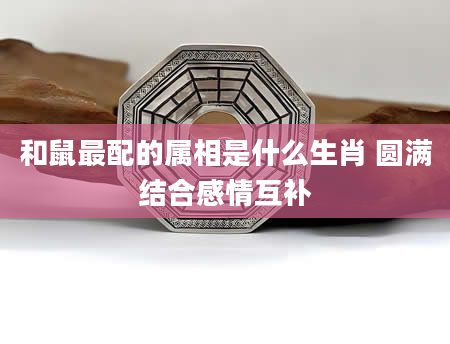 和鼠最配的属相是什么生肖 圆满结合感情互补