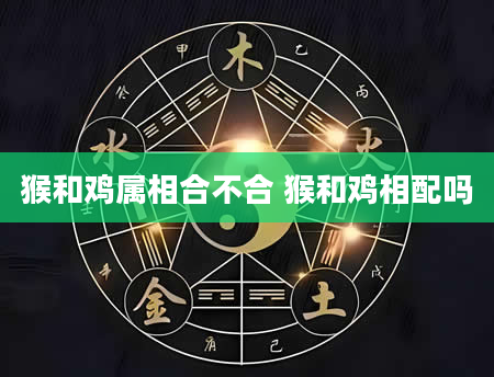 猴和鸡属相合不合 猴和鸡相配吗