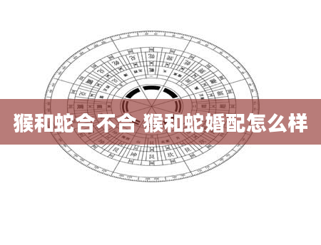猴和蛇合不合 猴和蛇婚配怎么样