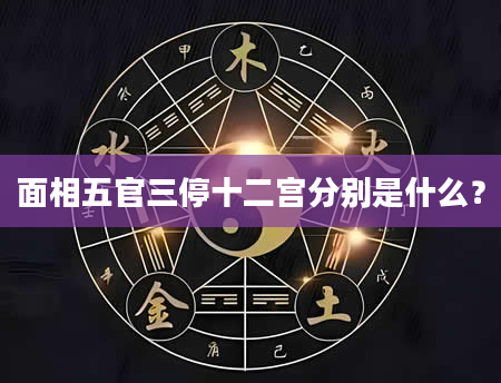 面相五官三停十二宫分别是什么？