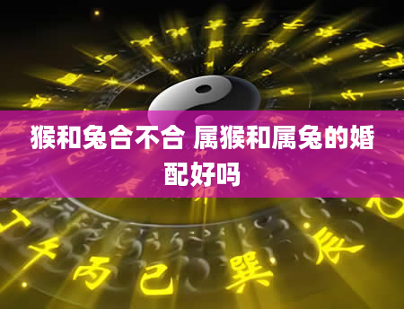 猴和兔合不合 属猴和属兔的婚配好吗