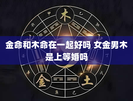 金命和木命在一起好吗 女金男木是上等婚吗