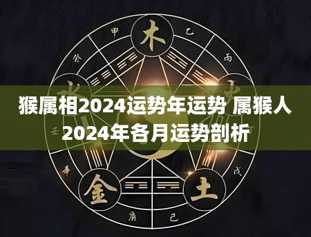 猴属相2024运势年运势 属猴人2024年各月运势剖析