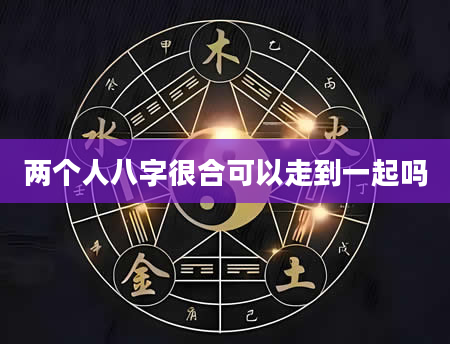 两个人八字很合可以走到一起吗