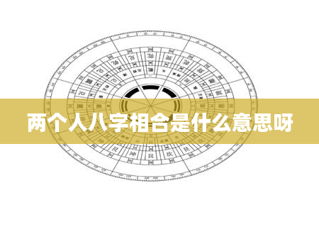 两个人八字相合是什么意思呀