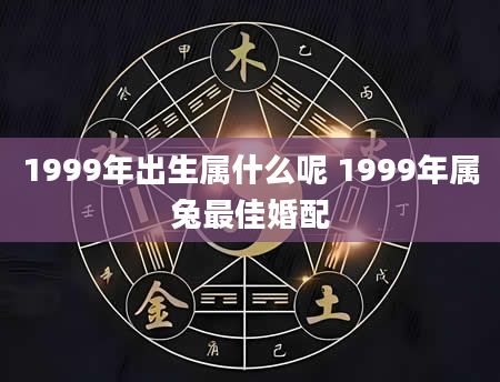 1999年出生属什么呢 1999年属兔最佳婚配