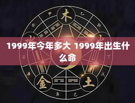 1999年今年多大 1999年出生什么命