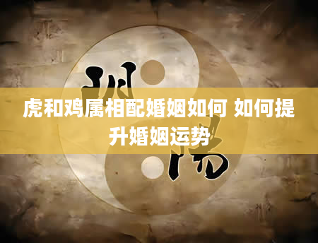虎和鸡属相配婚姻如何 如何提升婚姻运势
