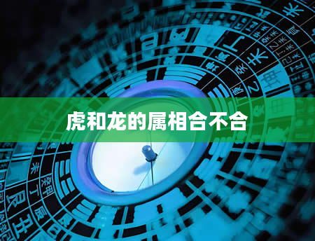虎和龙的属相合不合