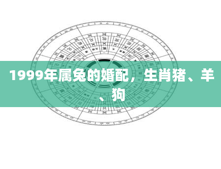 1999年属兔的婚配，生肖猪、羊、狗