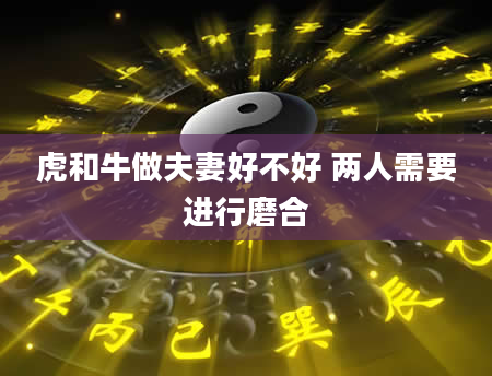 虎和牛做夫妻好不好 两人需要进行磨合