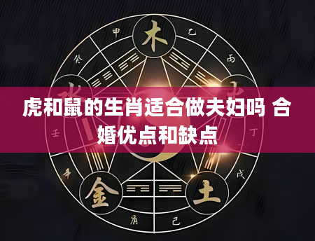 虎和鼠的生肖适合做夫妇吗 合婚优点和缺点
