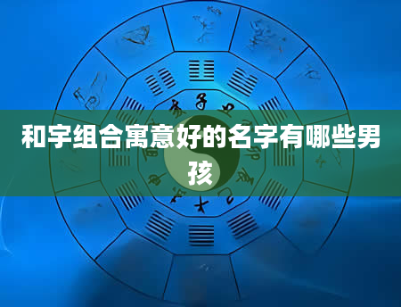 和宇组合寓意好的名字有哪些男孩