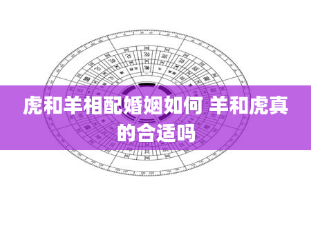 虎和羊相配婚姻如何 羊和虎真的合适吗