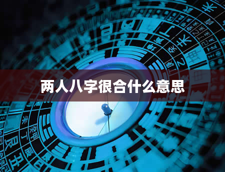 两人八字很合什么意思