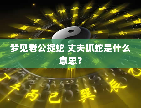 梦见老公捉蛇 丈夫抓蛇是什么意思？