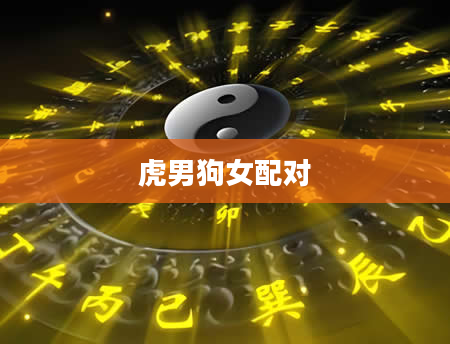 虎男狗女配对