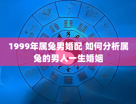 1999年属兔男婚配 如何分析属兔的男人一生婚姻