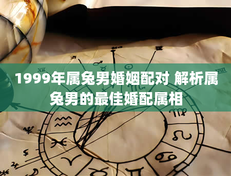 1999年属兔男婚姻配对 解析属兔男的最佳婚配属相