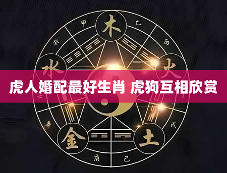 虎人婚配最好生肖 虎狗互相欣赏