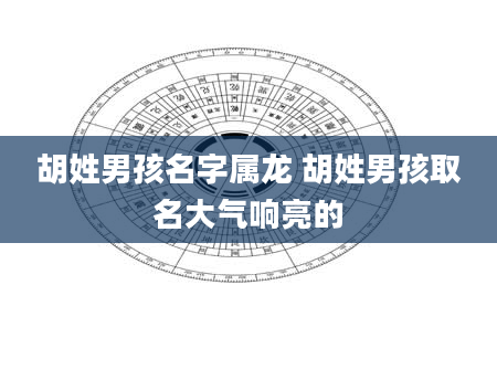 胡姓男孩名字属龙 胡姓男孩取名大气响亮的