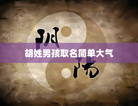 胡姓男孩取名简单大气